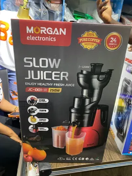 Slow juicer