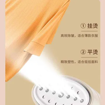 High Temperature Fast Ironing Garment Steamer