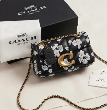 Coach Bag (20 cm) Comes in a box with free cherry 🍒