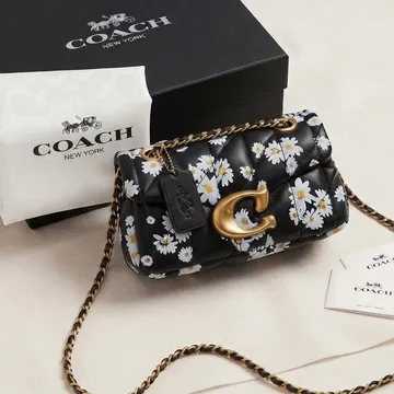 Coach Bag (20 cm) Comes in a box with free cherry 🍒