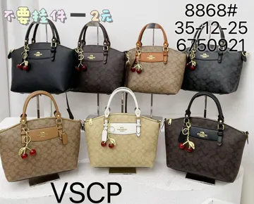 Coach bag
