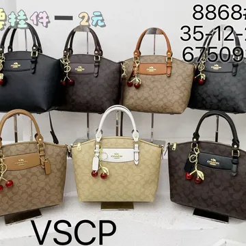 Coach bag