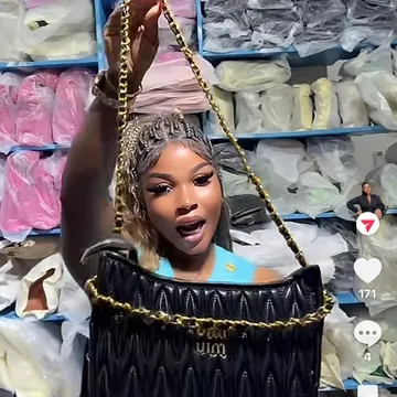Miu Miu bag (t)