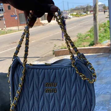 Miu Miu bag (t)