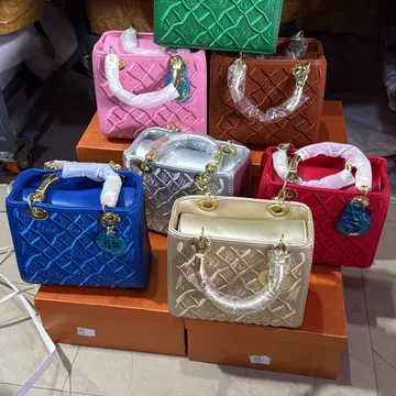 Dior leather bags